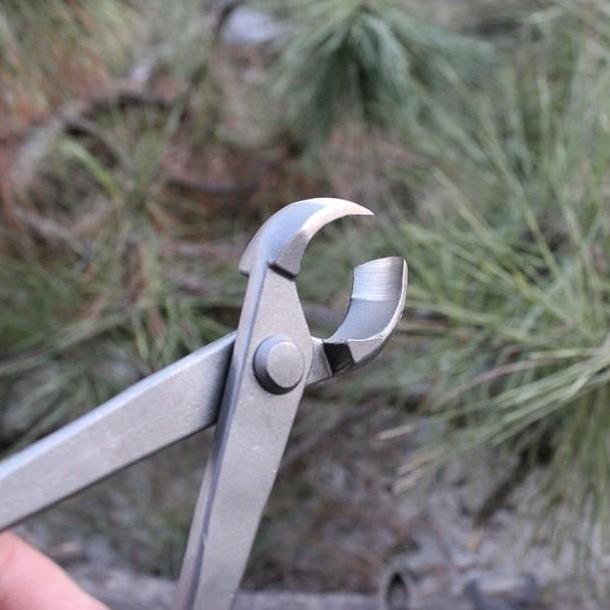 alat bonsai catok krekut bonsai model cembung 21cm