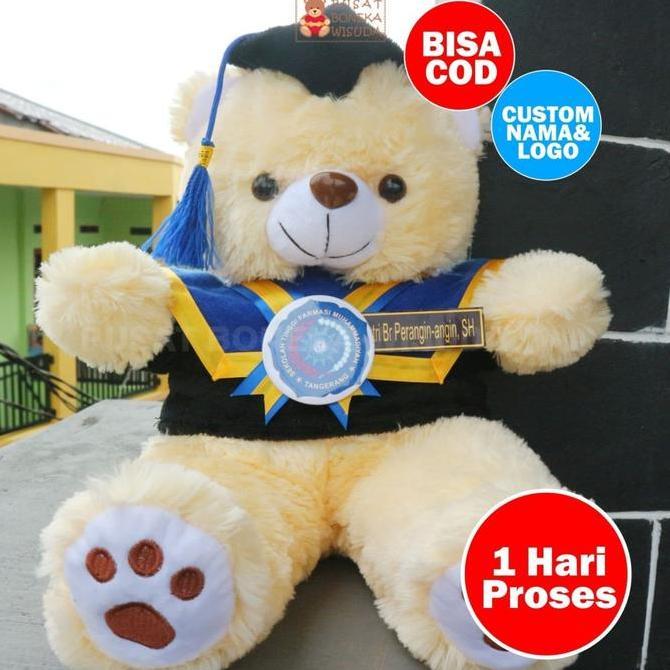 Boneka Wisuda | Boneka Wisuda Teddy Bear | Boneka Teddy Bear Jumbo SAR