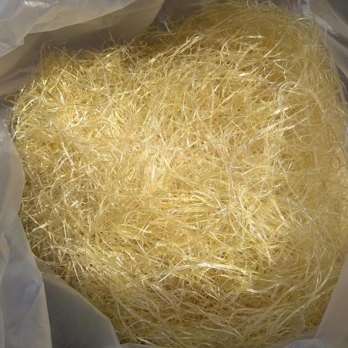 Hisit Kering Kasar Sirip Hiu Kualitas Super