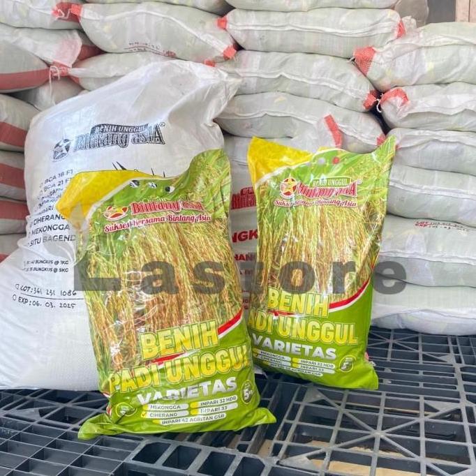 Benih Padi Hibrida Super Unggul Ciherang 5Kg Bintang Asia benih padi