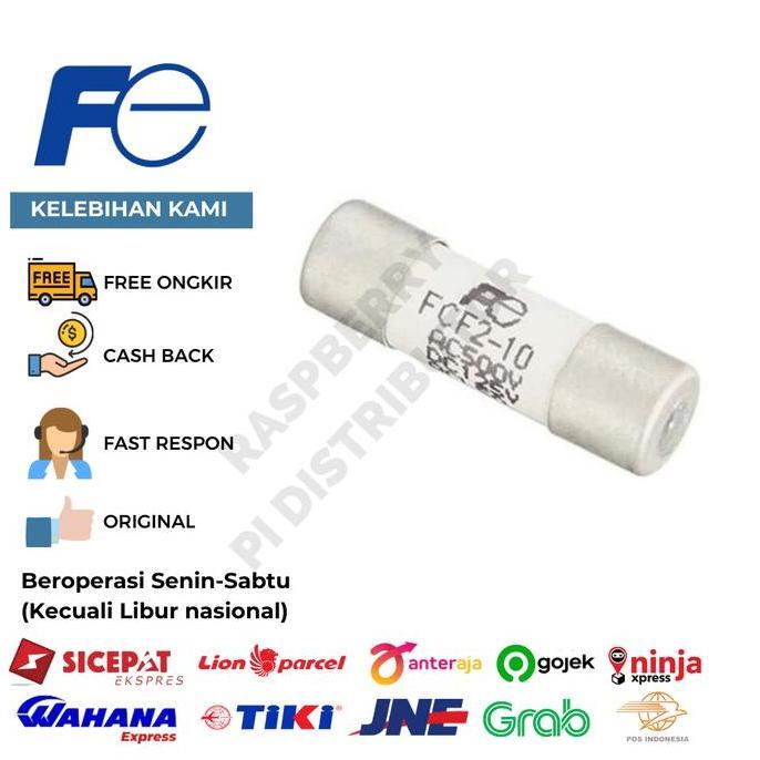 FUJI FCF2 10 LOW VOLTAGE FUSE