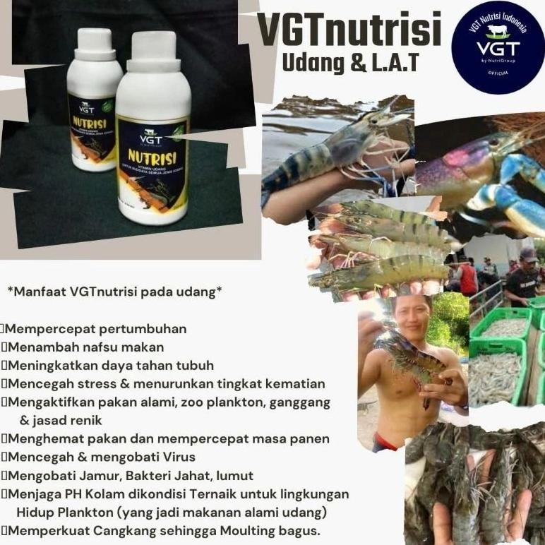 VGT Udang 250 ml - VGT Udang Tambak - Probiotik Udang 250 ml