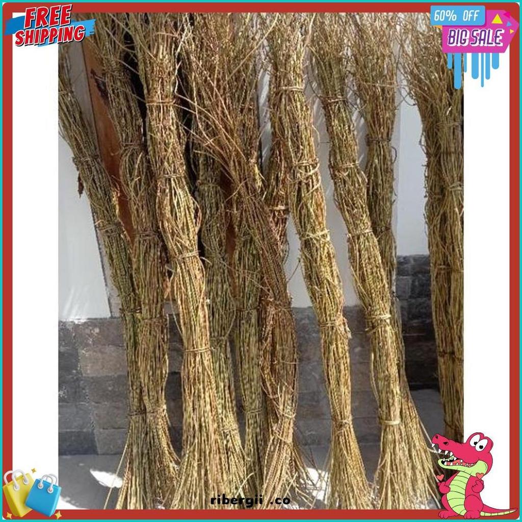 Cusss Serbu 100Btg/1 Ikat Akar Manon,Akar Mentau,Akar Rustik,Ring Akar