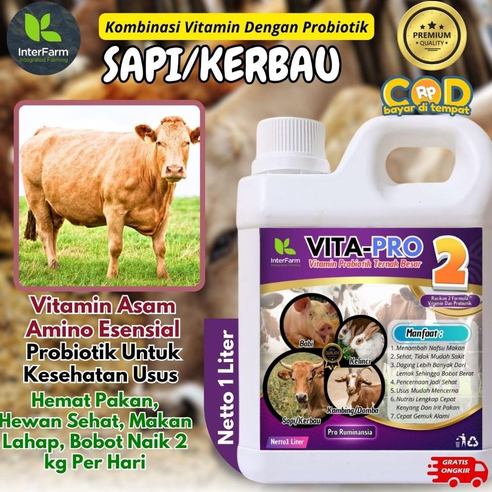 Viterna Nasa Vitaplus Vitamin Ternak Sapi Vitamin Ternak Kambing Vitamin Ayam Obat Sapi