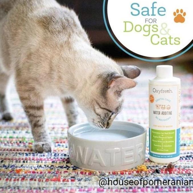 Oxyfresh Water Additive 473Ml