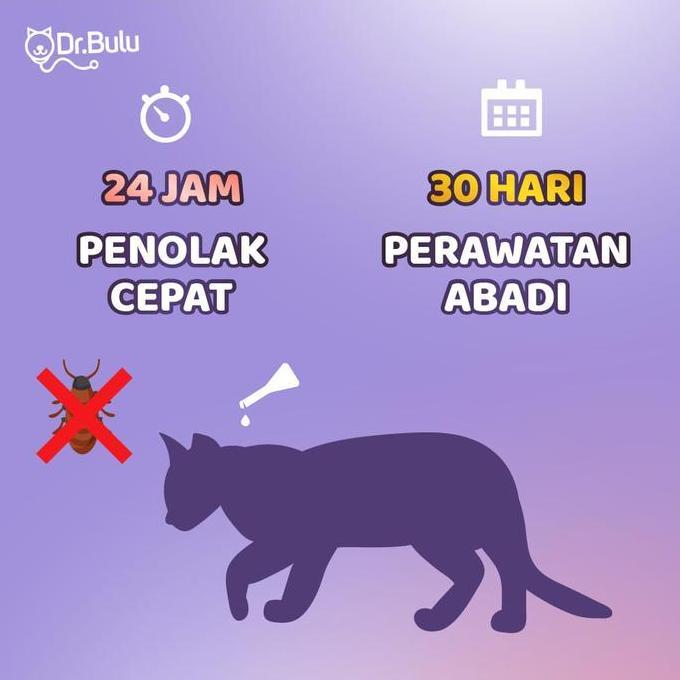 Dr.Bulu - Bye Bye Fleas Plus Kitten - Pembasmi Kutu Kucing Kitten - Obat Kutu Kucing Kitten
