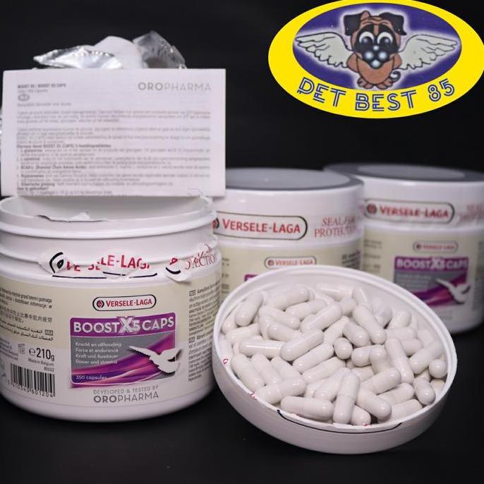 Boost X5 Caps 10 Capsule Vitamin untuk Burung Merpati Pembentuk Otot Stamina & Kekebalan Dalam Kapsu