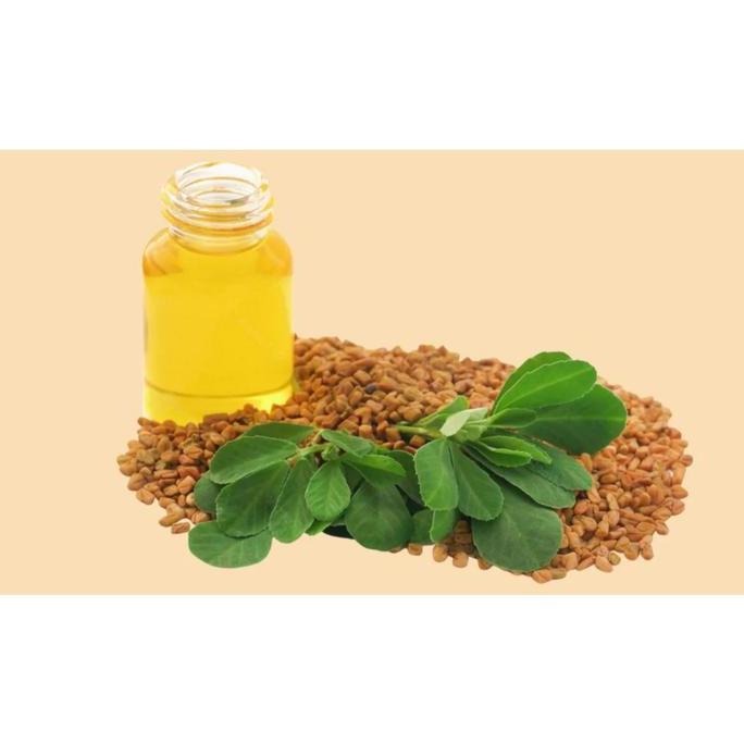 Fenugreek Oil Minyak Klabet Minyak Hulbah Methi Oil Methi seeds