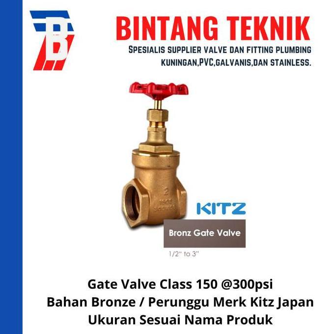 Gate Valve 3/4" inch Bronze Kitz Class #150