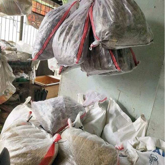 TERMURAH - (Instan/Sameday) Jangkrik Hidup 1 Karung Untuk Pakan Hewan Burung pakan Ikan dll