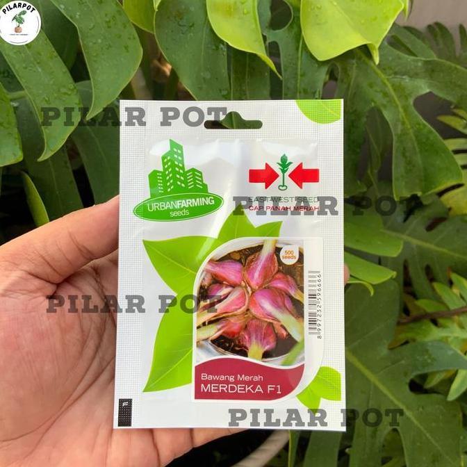 Benih Bibit Bawang Merah Merdeka F1 Cap Panah Merah - BAWANG MERAH MERDEKA F1 EAST WEST SEED
