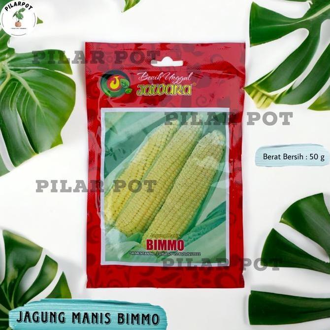 Benih Bibit Jagung Manis Bimmo Benih Unggul Jawara - JAGUNG BIMMO