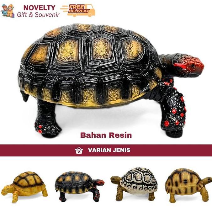 Souvenir replika kura kura cherry head red footed tortoise dari amerika latin