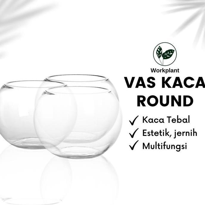 Vas Kaca Round - Vas Bunga Aesthetic Pot Bunga Tanaman Hias Hidroponik