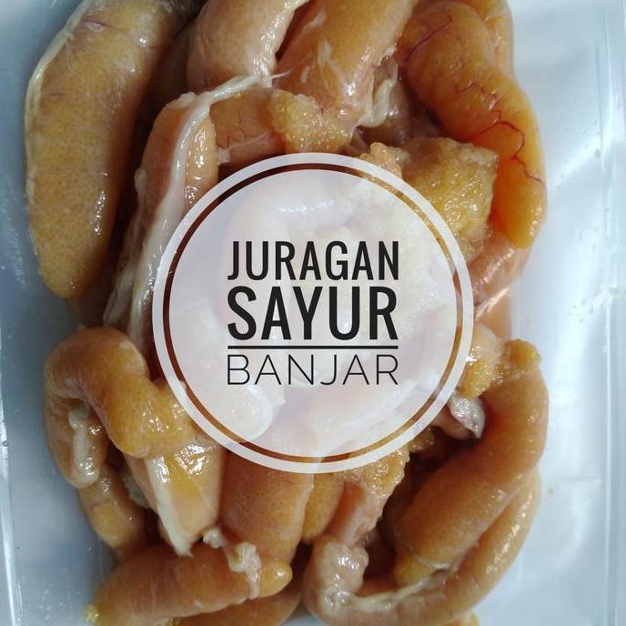 Terlaris Telur Ikan Gabus / Telur Ikan Haruan Segar