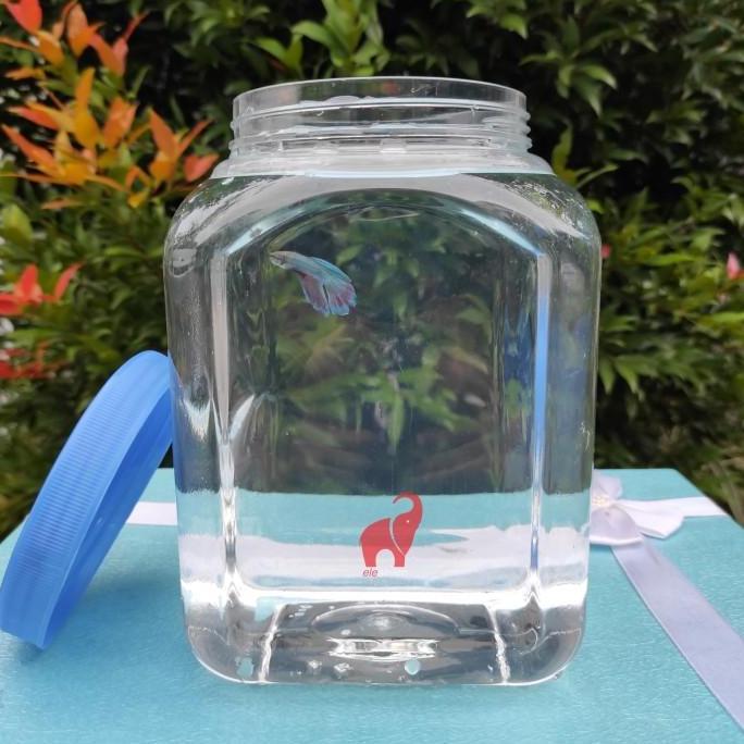 New- Toples Plastik Kotak Ikan Cupang 3 Liter Tebal
