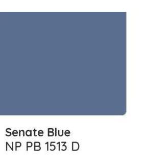 Vinilex 1513 D Senate Blue Cat Tinting Nippon Paint Interior Galon  Sale