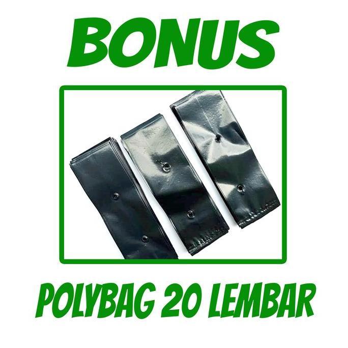 5 pack benih indigofera - bibit pakan ternak bibit indigofera / benih indigofera super daun