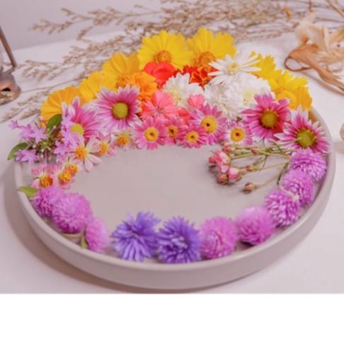 Edible Flower Hiasan Bunga Asli Untuk Garnish Penghias Puding Edible Original Dan Terpercaya