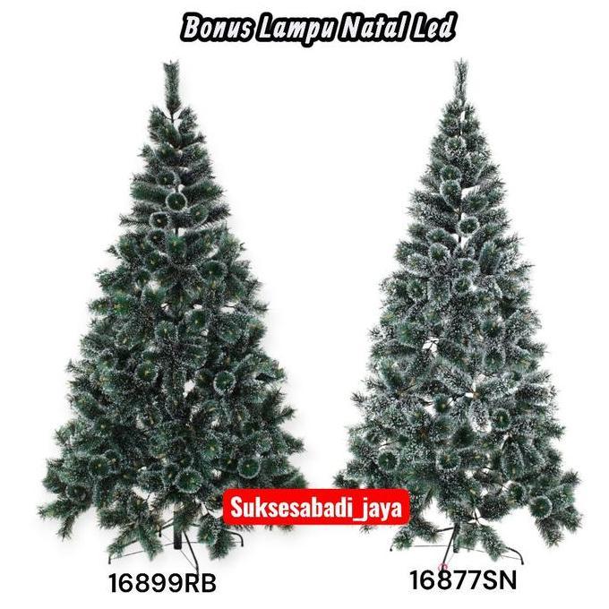 [SPECIAL LIVE] BEST SELLER POHON NATAL PINUS PINE ukuran 2FT/60CM - 12FT/3.6METER (POHON NATAL 1METE