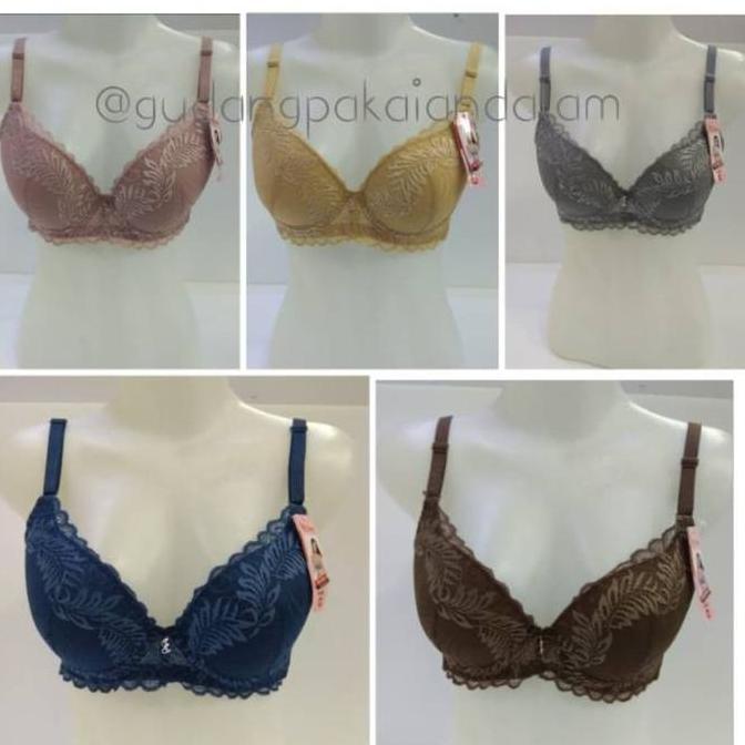 Murah BRA ELENA 24005 KAIT 3 BUSA TIPIS Non COD