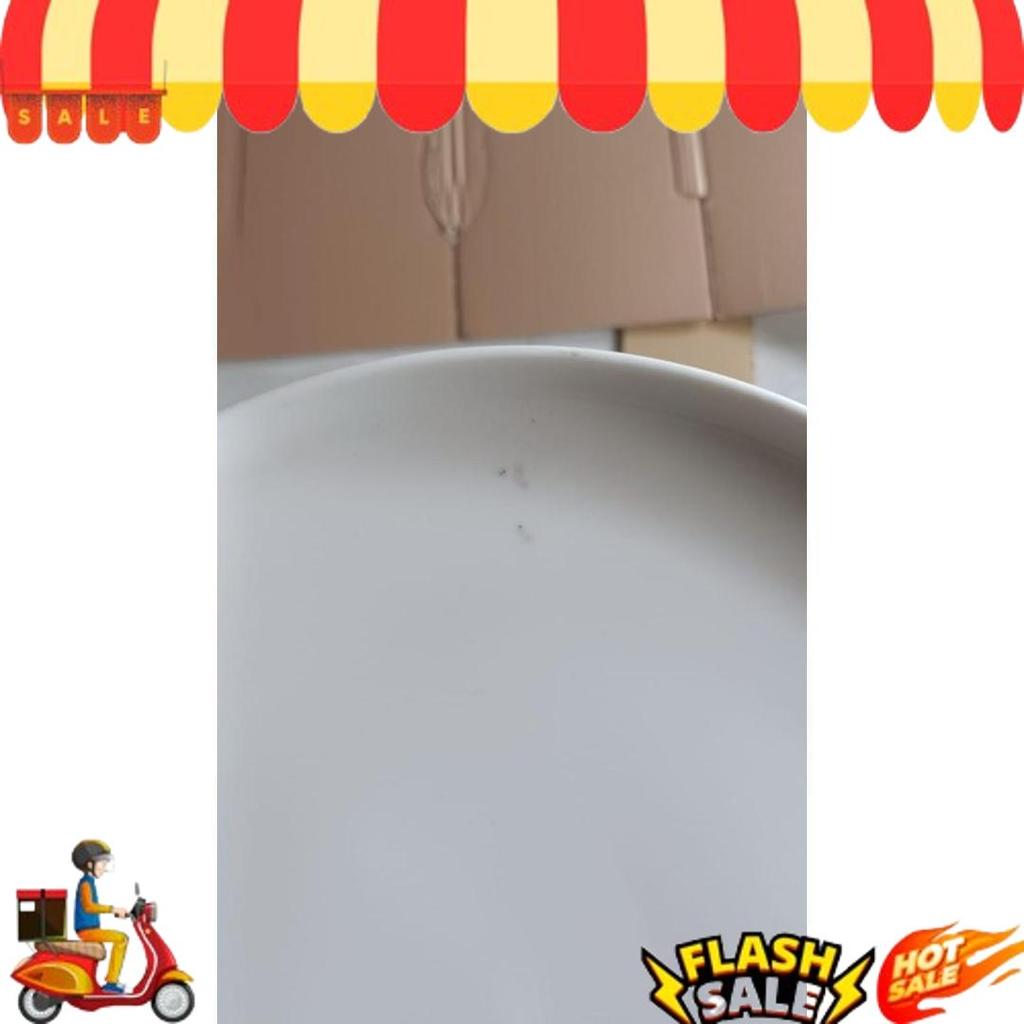 Grosir Piring Bijian Keramik Pasta 10.25 Inch Putih