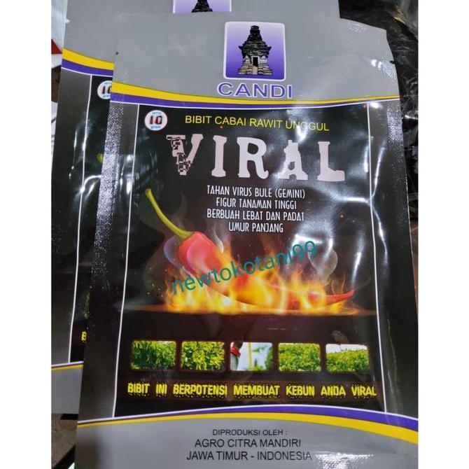 Benih cabe rawit VIRAL 10 gram benih cabai rawit unggul cap candi cabai rawit pedas