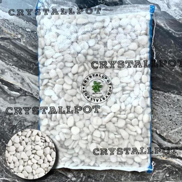 batu koral putih | batu taman | batu hias 1 karung