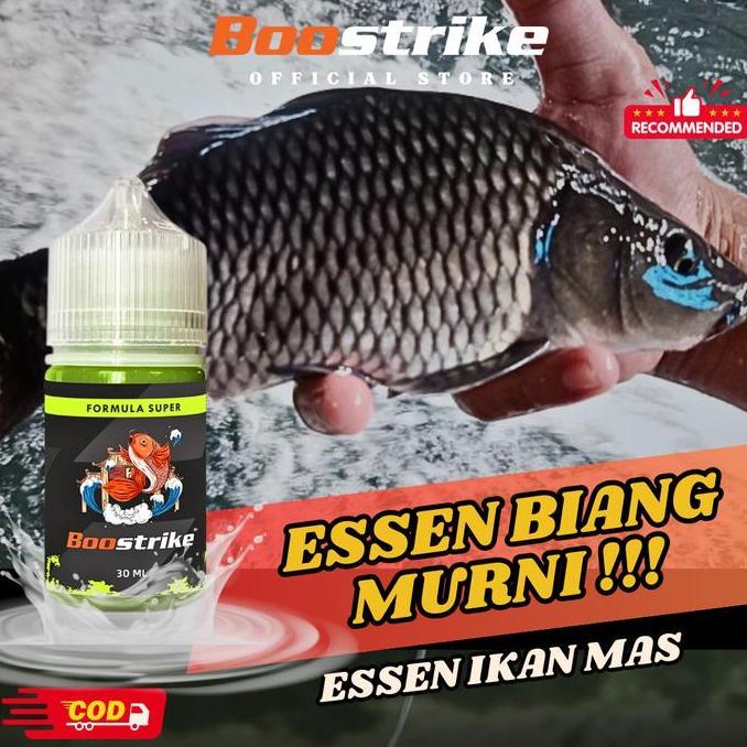 Essen Ikan Mas Cocok Segala Cuaca - Umpan Terbaik
