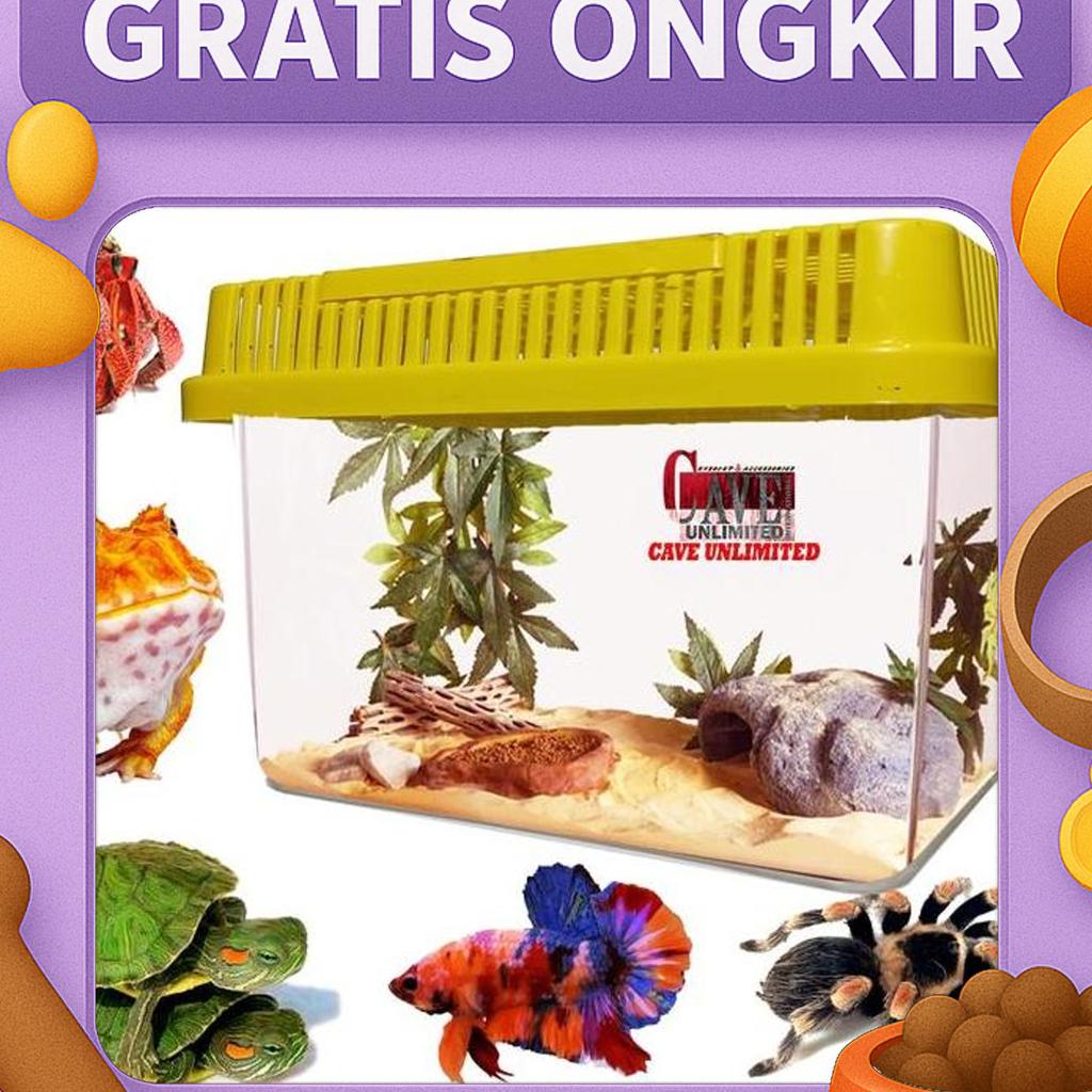 Pet Home Aquarium Ikan Terrarium Kura Brazil Tarantula Pacman Kelomang