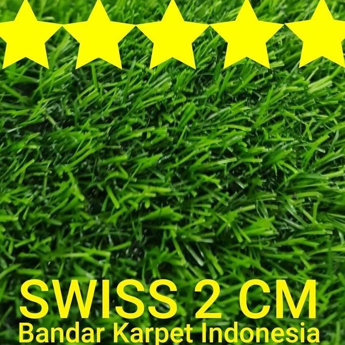karpet rumput swiss 2 cm rumput sintetis meter rumput sintetic meter