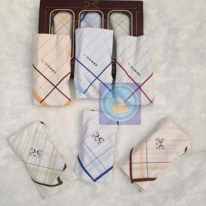 Paket 6 Pcs Sapu Tangan Katun Sapu Tangan Lembut