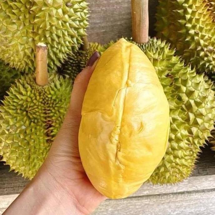 Bibit durian beli 2 gratis 1 (packing kayu)
