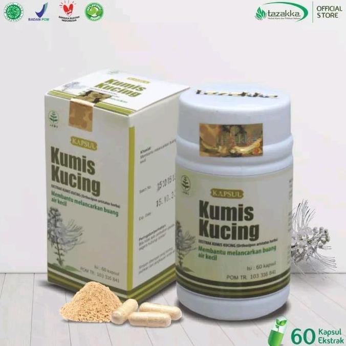 Kumis Kucing Kapsul Herbal Original Extract Kumis Kucing Asli 60 Kapsul WAR