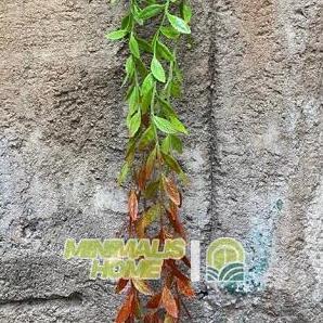 New- Daun Lee Kwan Yew Juntai Daun Tirai Rambat Artificial Hoya Costa Janda Merana Dekorasi Dinding 