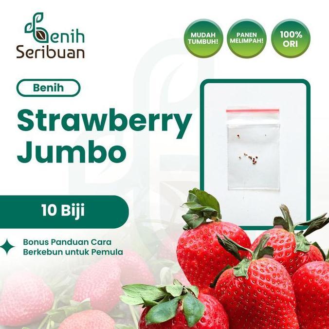 10 Benih Strawberry Jumbo Import Bibit Buah Stroberi California Unggul