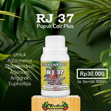 Promo Murah Pupuk Cair Plus RJ 37 - Aglaonema, Philodendron, Anggrek, Adenium dll