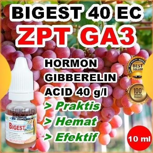 Lansungkirim- Ga3 Bigest 40 Ec 10 Ml Hormon Giberelin Acid Zpt Tanaman Buah Anggur