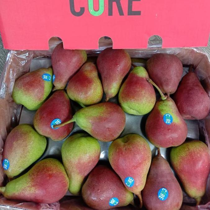 Fruxi- Pear Forelle | Buah Pear Forelle | Pear Fresh - 1Kg