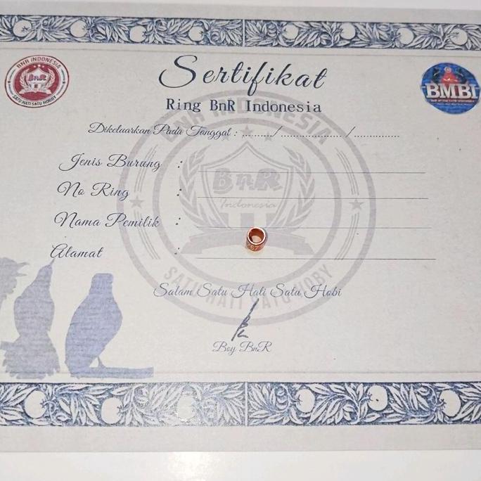 Britis- Ring Bnr Burung Murai Plus Sertifikat Original