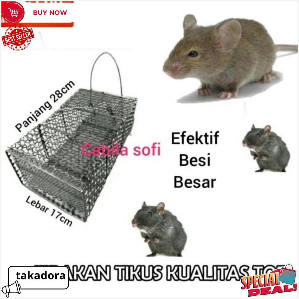 [Sale] Perangkap Tikus Besi / Jebakan Tikus / Perangkap Musang Termurah Banget