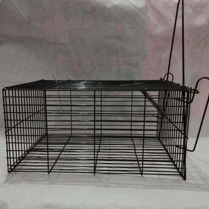 jebakan tikus besar perangkap kurungan tikus kawat baja