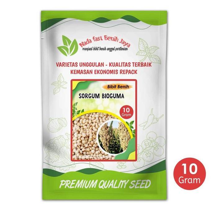 Benih sorgum bioguma air nira batang manis 10 gram terbaik / bibit benih pakan ternak Tanaman Daun