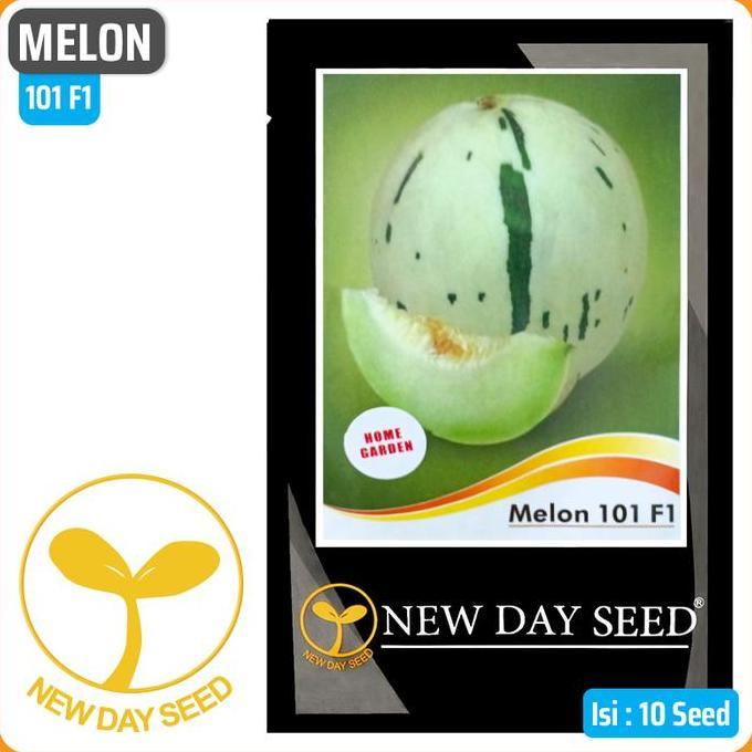 BENIH NEW DAY SEED - MELON 101 F1