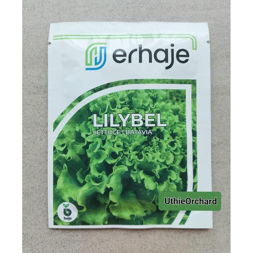 Benih Bejo Seed - Selada Batavia Lilybel Kemasan 1000 Pills