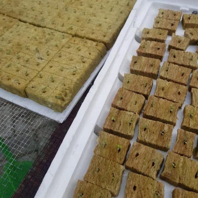 Media Tanam Hidroponik Busa Rockwool 1 Slab/Lembar