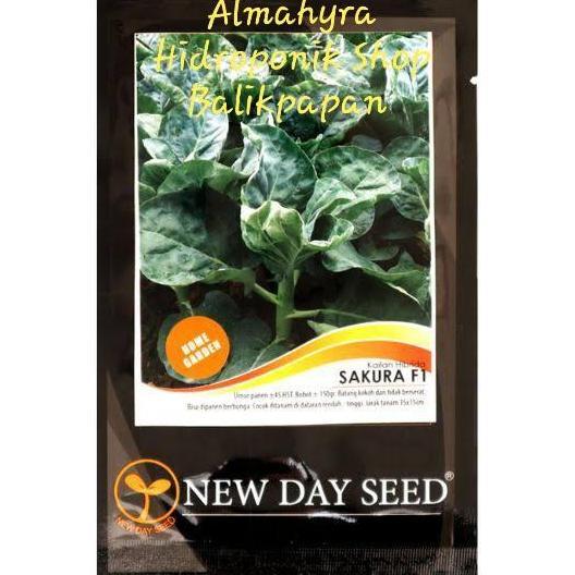 paling diminati] Benih Kailan Sakura New Day Seed