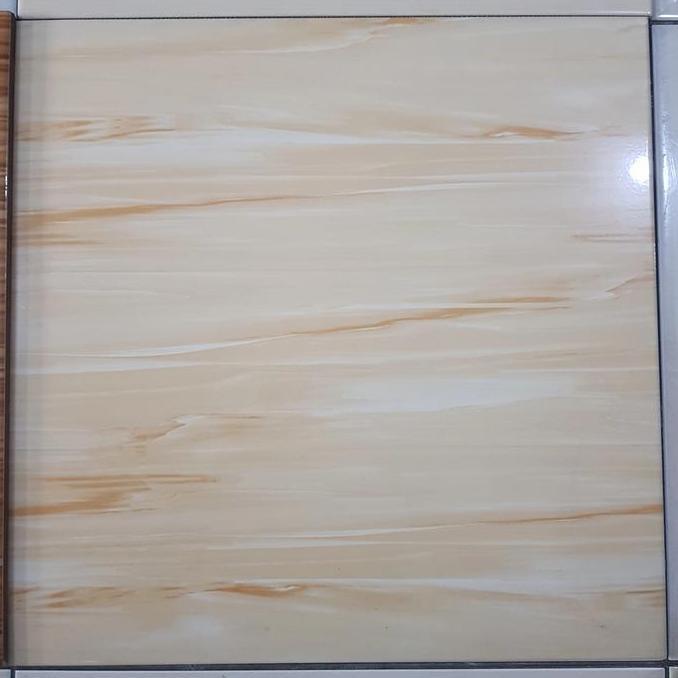 keramik lantai kilap 40x40 arwana gardenia