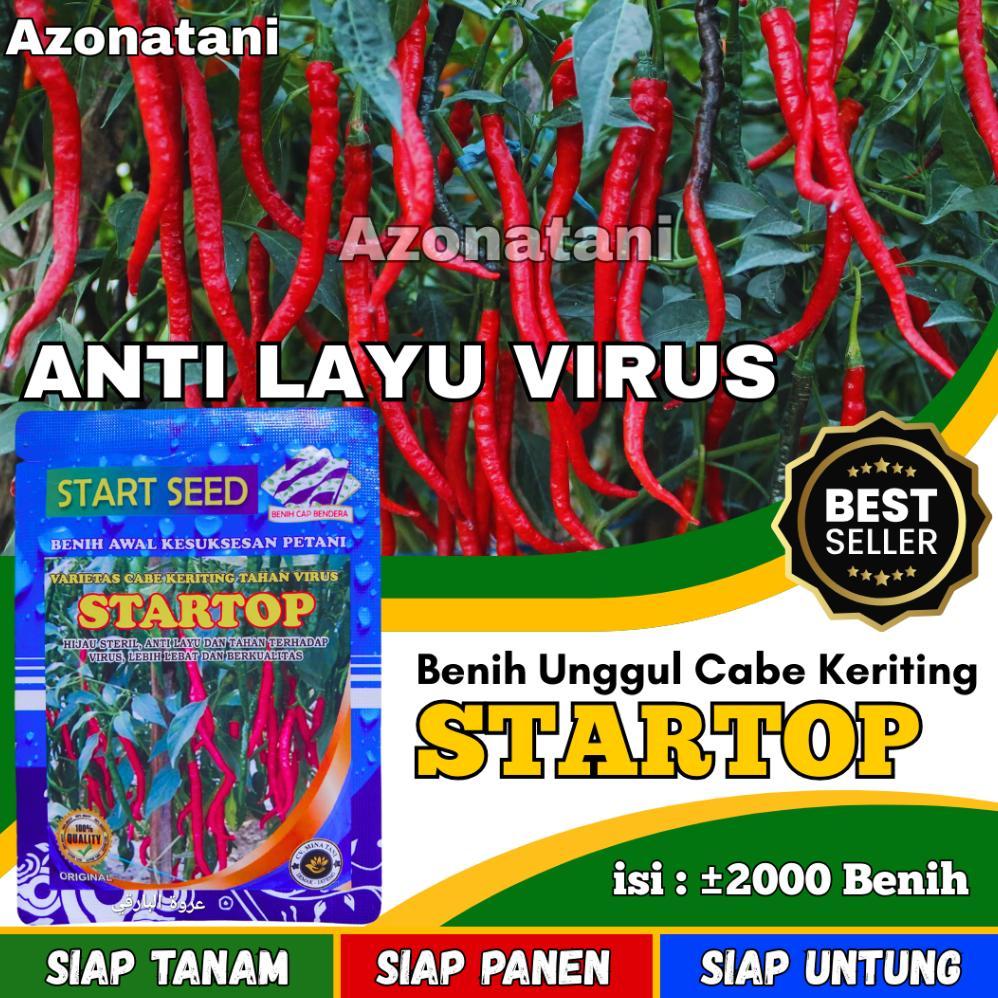 Bibit Cabe Keriting STARTOP Benih cabe keriting merah | bibit cabe keriting unggul tahan virus buah