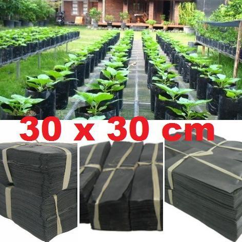 Promo Cod Ya Kak Polybag 3030 Cm 0.5 Kg Polibag 30 X 30Cm Tanaman Semai Kiloan Kilo An ...;